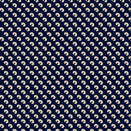 Black Chadari Fabric 14.jpg